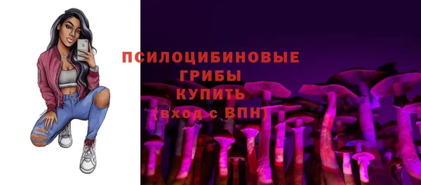 Альфа ПВП Армянск