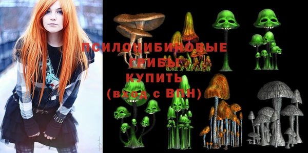 apvp Арсеньев