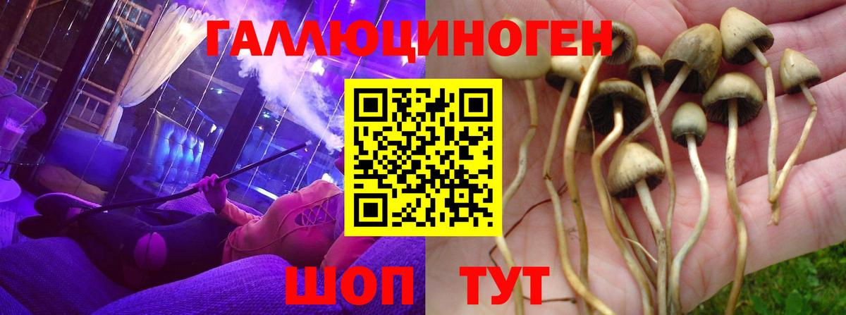 Галлюциногенные грибы мицелий  дарнет шоп  Псилоцибиновые грибы ЛСД  Гуково  Вход с VPN 